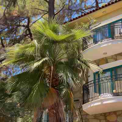 Club Bellamare  Beach Hotel Exterior