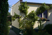 Hotel-Pension Mandy - Adults Only