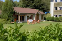 Hotel Borde Lago Hotels in Puerto Varas