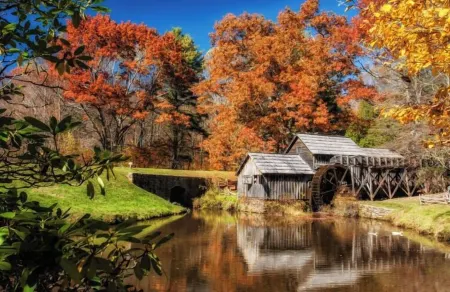 Spacious Chalet on the Blue Ridge Parkway - Early Check-in and Late Check-out!