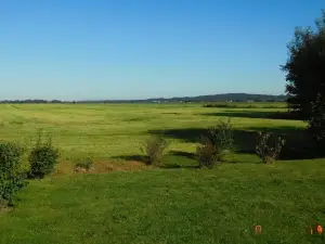 Ferienwohnung Zwischen Eider u. Elbe