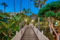 Expansive Harbor Views and Gourmet Kitchen - Serene Coastal Retreat