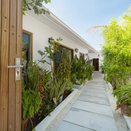 Oasis Dhigurah