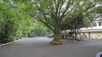 Safari Resort - parking