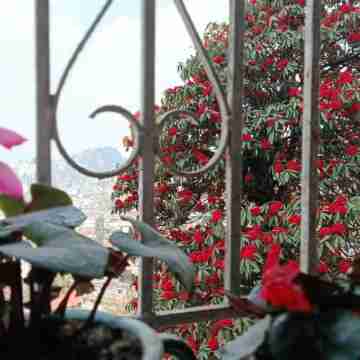 Darjeeling, Adrija Luxury Homestay & Apartments Others