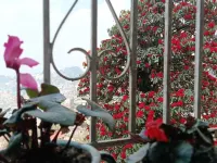 Darjeeling, Adrija Luxury Homestay & Apartments