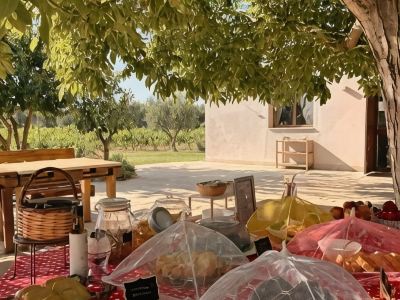 Tenuta Vigna del Noce