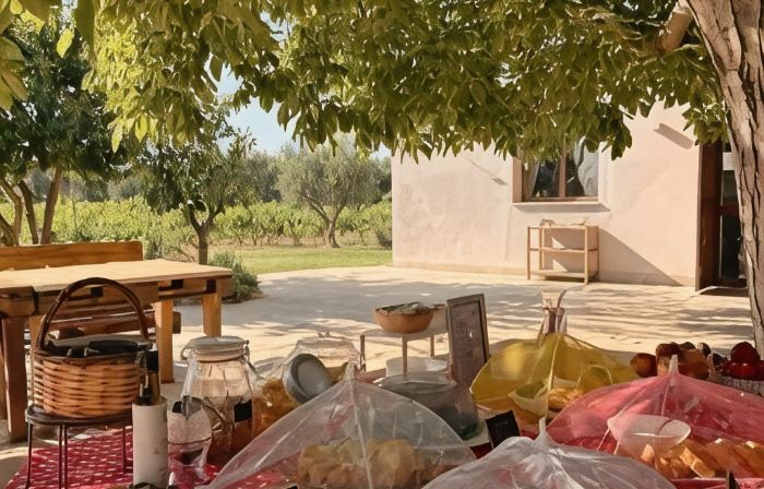 Tenuta Vigna del Noce