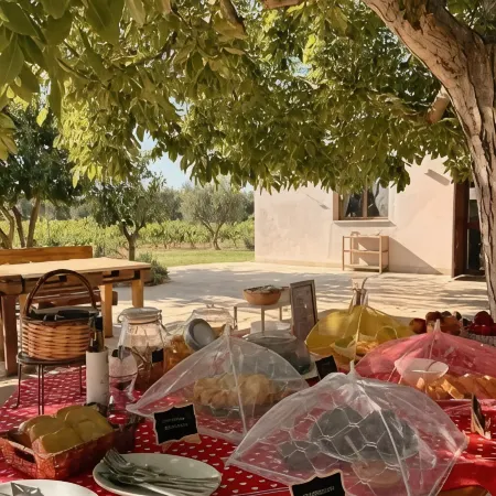 Tenuta Vigna del Noce
