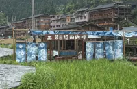 The Best View Hotel in Xijiang - Mountain view