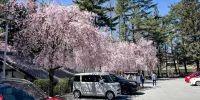 Rakuten STAY VILLA Yatsugatake - parkir