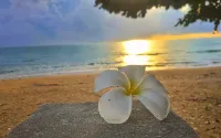 Khanom Golden Beach Hotel - Beach