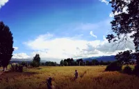 Xiangmo Youth Hostel - 2-Star