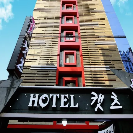 Hotel Cats Bucheon