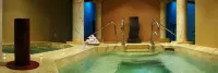 Hotel Magic Mountain Spa & Conference Center - Hot Springs