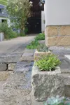 Gründelstube - Gemütliche Ferienwohnung in der Nähe von Bad Schandau - 3-Star