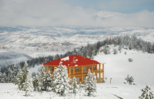 The Lodge at Arcady Ridge Ranch, Swim Spa + Sauna Sleeps up to 14! - 4-Star