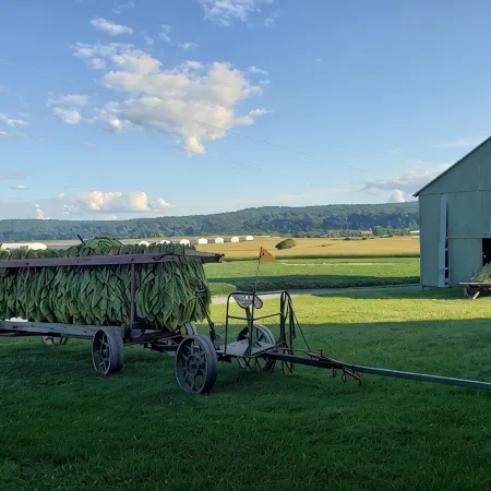 Farmstay with pool and firepit