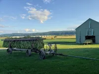 Farmstay with pool and firepit - 샬레 호텔