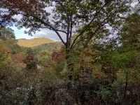 黑山-阿巴拉契亞鄉村風20世紀40年代配有熱水浴缸的夏季木屋 - 木屋