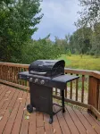 Cozy, rustic private cabin in the woods! Skip to the river & CDA bike trail! - 3 stjerner