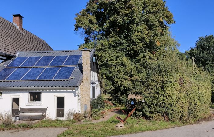 Summer in the old stable