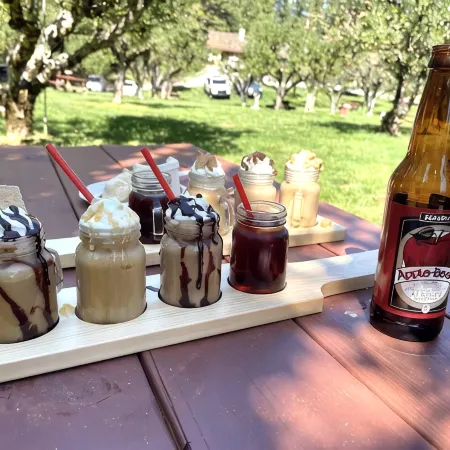 RELAX❤️ MOUNTAIN RETREAT, FULLY XMAS DECORATED, 45 min to South LAKE TAHOE