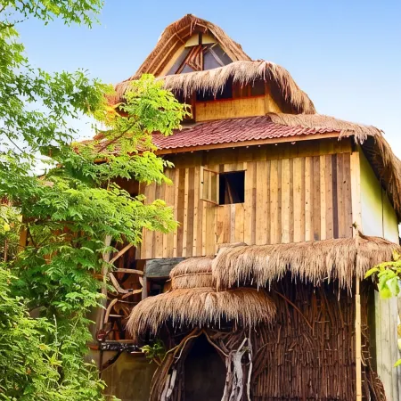 The Rabbit Tree Hostel