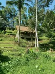 Duegoal Farmhouse - Urlaub auf dem Bauernhof