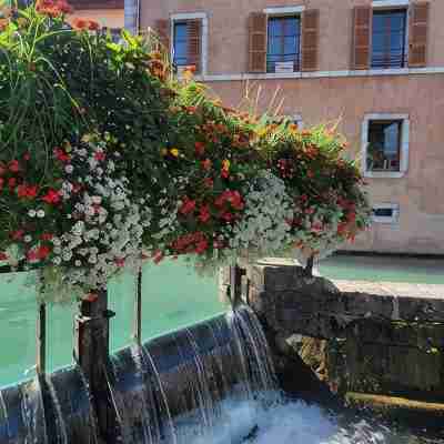 In the heart of the Old Town with a breathtaking view! Others