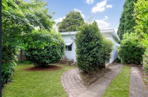 Camellia Cottage - Your Peaceful Mountain Getaway! - WiFi