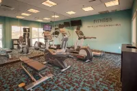 Fairfield Inn & Suites Orange Beach - Gym