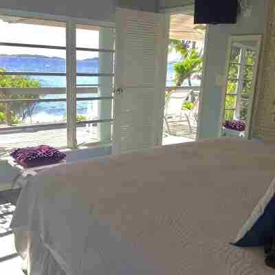 Mampoo Hill-- a Beachfront House 60 Feet from the Ocean with Optional Jeep Rooms