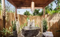 The Lovina - Hot Springs