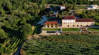 Quinta de Cypriano - Wine & Nature - Wi-Fi