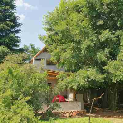 Little Forest Farm Hotel Exterior