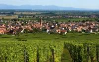 New: Chalet Les Prés in Alsace center, charming atmosphere, modern comfort - Alppimaja