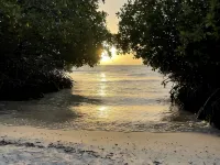 Oceanfront @ Mangel Halto Beach, Snorkel, Scuba, Beach Hotels in Savaneta