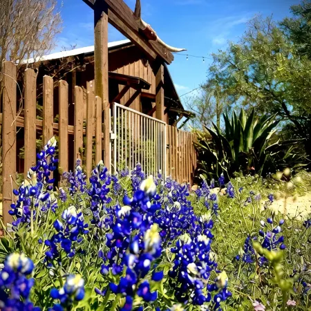 El Castell - on the Llano River [Entire Property - 4 Cabins]