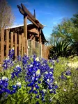 El Castell - on the Llano River [Entire Property - 4 Cabins] - Chalets
