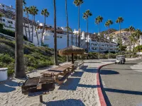 MAGNIFICENT OCEAN VIEW Hamilton Cove Condo With Golf Cart Included. - Strand