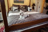 Horsing Around In The Barn (Pet friendly) - 3 stjerner