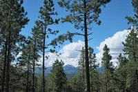 Peek at the Peaks~ private cabin with stunning mountain views & Starlink WiFi - Alphydda