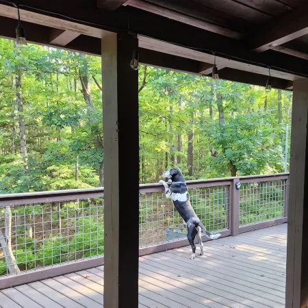 Travelers Rest Cabin