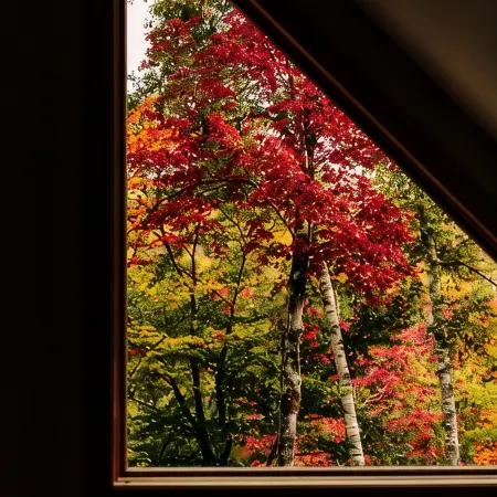 Lakeview☀️Near Stowe🥾4 Bedroom👨👩👧👦Hot Tub🥂Mountain View🏔Canoe🛶Game Room🎱Swimming🏊♀️