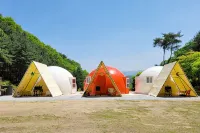 Wonju Forest Dome - مسبح