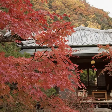 Sasaya Hotel Hotels in Chikuma