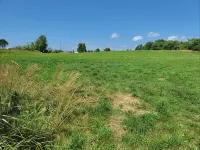Spacious, Newly Refurbished Cozy  Farmhouse  on 100 acres - 2-Sterne