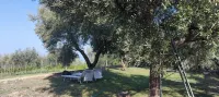 Relais Soleil - 3-Star