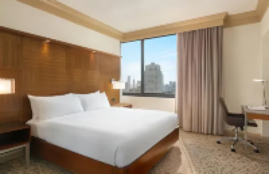 ヒルトン ニューヨーク タイムズ スクエア